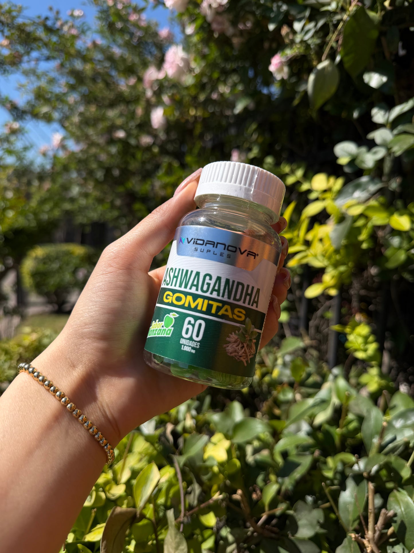 Ashwagandha en Gomitas – 60 Unidades 🌿