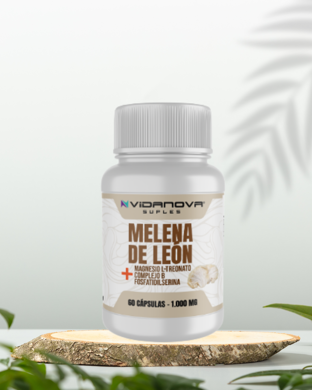 Melena de León + Magnesio L-Treonato + Complejo B
