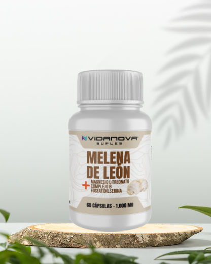 Melena de León + Magnesio L-Treonato + Complejo B